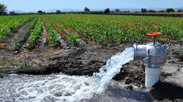 Nuevo reglamento fortalece la administración de los derechos sobre aguas nacionales