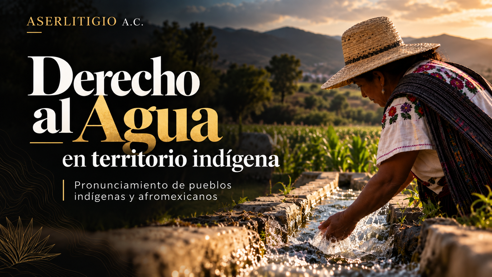 Pueblos indígenas y afromexicanos exigen el reconocimiento efectivo de su derecho al agua